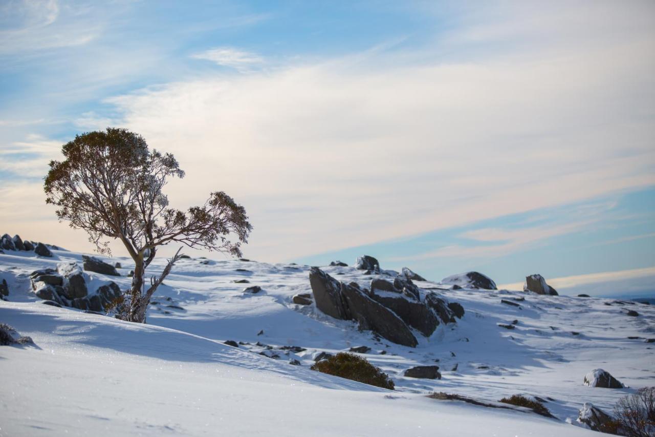 Aneeki Ski Lodge Thredbo Ngoại thất bức ảnh